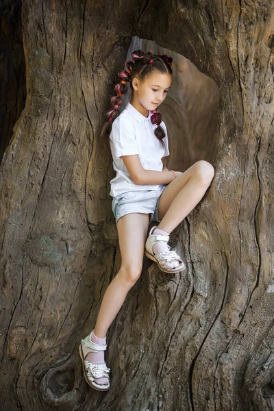 Menina sentada na árvore — Fotografia de Stock