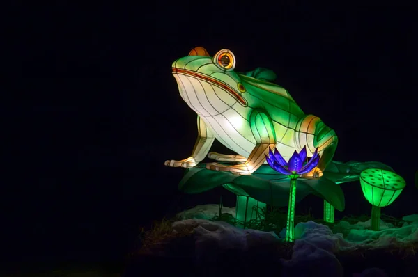 青蛙形状的传统中国灯笼 — 图库照片
