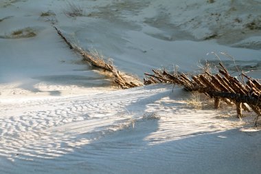 Kum tepelerindeki koruyucu çitler