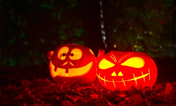 Merry Pumpkins Halloween Night — Stock Photo, Image