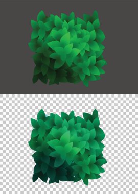 çalılar doğal vahşi yansıma