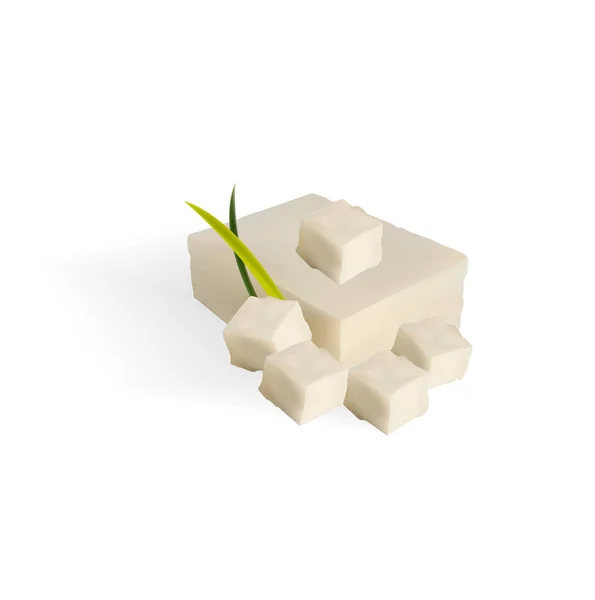Tofu isolado em branco - Ilustração realista vetorial — Vetor de Stock