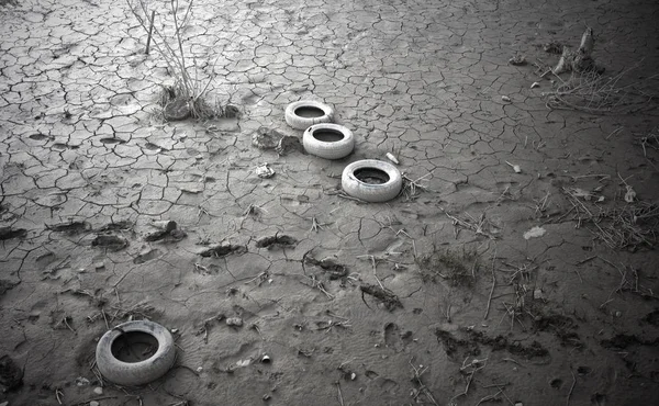 Polluted river bank at dusk. Black and white photo