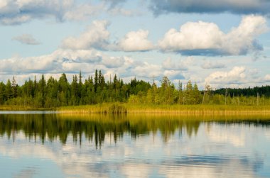 Lake Yels, Rusya Federasyonu, Arkhangelsk bölgesi, Plesetsk bölgesi. Ağustos 2018