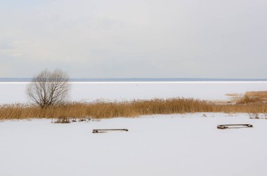 Plescheevo Lake, Pereslavl-Zalessky, Yaroslavl bölgesi, Rusya Federasyonu