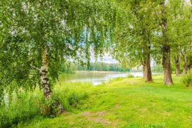 Pekhorka nehri kıyısında, Zarechye parkında. Rusya, Moskova bölgesi, Balashikha şehri.