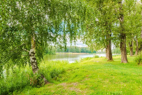 Orilla Del Río Pekhorka Parque Zarechye Rusia Región Moscú Ciudad —  Fotos de Stock
