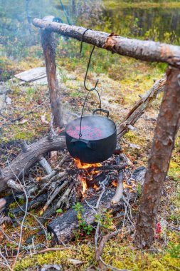 Vahşi doğadaki bir tayga ormanında çok güzel bir kamp ateşi. Ormanda hayatta kalmak. Ateşin üzerinde kazan var. Kazanda, yaban mersini ve yaban mersini suyu ve böğürtlen var. 