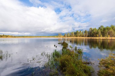 Kuzey Rusya 'daki Arkhangelsk bölgesinde. Bulutlu sonbahar havası
