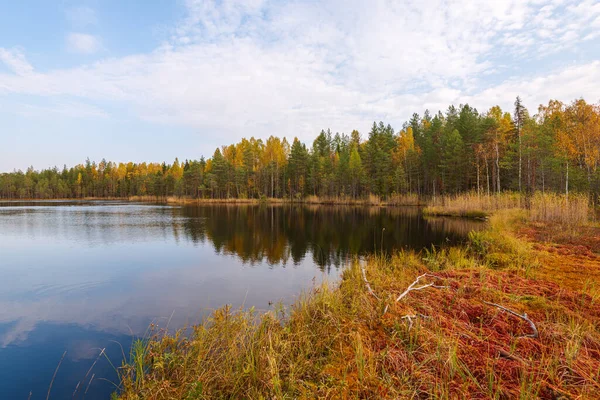 Small Autumn Lake Taiga Arkhangelsk Region Northern Russia Royalty Free Stock Photos