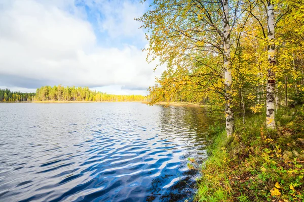 俄罗斯北部针叶林中的秋湖 — 图库照片#