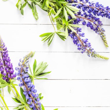 Ahşap bir masa üzerinde mavi bahar lupines. Arka plan boşaltmak. Üstten görünüm, düz yatıyordu