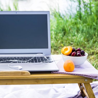 Bir dizüstü bilgisayarda bir piknik doğada - bir kase kiraz ve kayısı yanında çalışmak. Freelancer iş kavramı