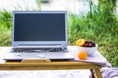 Bir dizüstü bilgisayarda bir piknik doğada - bir kase kiraz ve kayısı yanında çalışmak. Freelancer iş kavramı