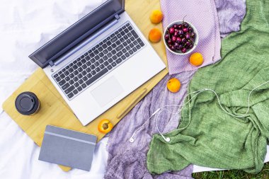 Bir dizüstü bilgisayarda bir piknik doğada - bir kase kiraz ve kayısı yanında çalışmak. Freelancer iş kavramı. Üstten görünüm, düz yatıyordu