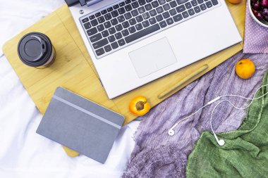 Bir dizüstü bilgisayar pikniğe doğa - yanında çalışan kayısı Freelancer döşeme beyaz üzerine yaz kavram olarak çalışıyorum. Üstten görünüm, düz yatıyordu