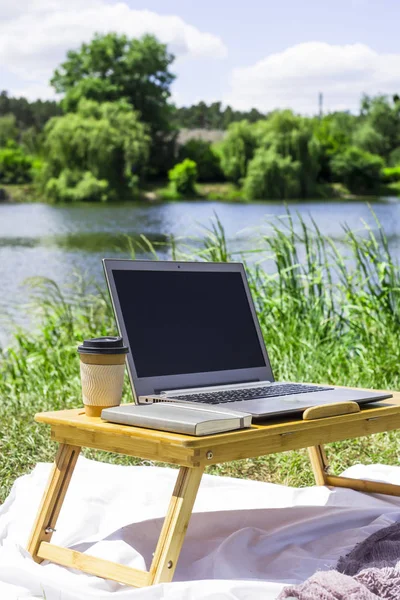Freelancer iş yazın piknik doğada üzerinde. Nehrin yanında bir yorgan bambu masaya üstünde Laptop