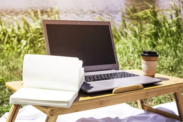 Freelancer iş yazın piknik doğada üzerinde. Nehrin yanında bir yorgan bambu masaya üstünde Laptop