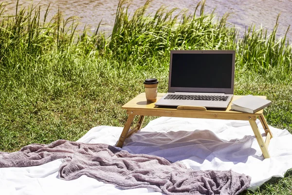 Freelancer iş yazın piknik doğada üzerinde. Nehrin yanında bir yorgan bambu masaya üstünde Laptop