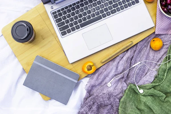 Bir dizüstü bilgisayar pikniğe doğa - yanında çalışan kayısı Freelancer döşeme beyaz üzerine yaz kavram olarak çalışıyorum. Üstten görünüm, düz yatıyordu