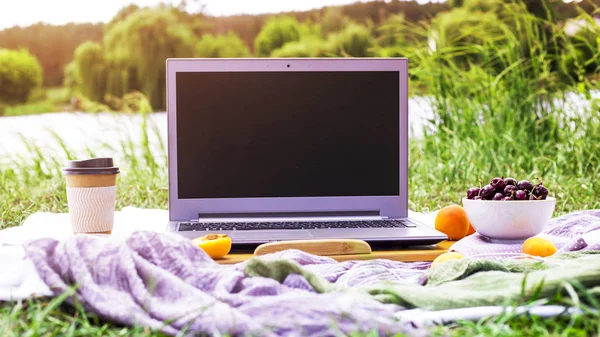 Bir dizüstü bilgisayarda bir piknik doğada - bir kase kiraz ve kayısı yanında çalışmak. Freelancer iş kavramı
