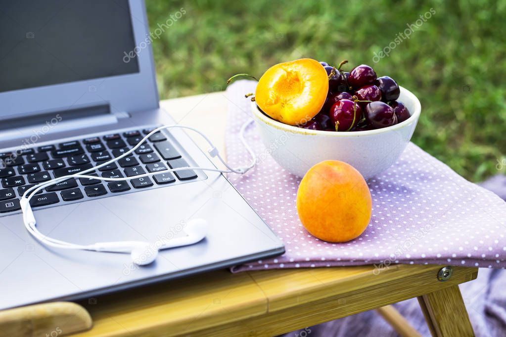 Work on a laptop on a picnic in nature - next to a bowl of cherries and apricots. Freelancer work concept