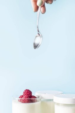 Ahududu mavi bir arka plan üzerinde bir kavanoza ev yapımı yoğurt için bir kaşık ile bir el uzanır. Kopya alanı