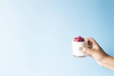 Mavi bir arka plan üzerinde bir el içinde ahududu ile ev yapımı yoğurt bir kavanoza. Kopya alanı