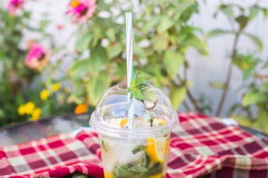 Bir plastik bardak mojito nane ve limon Bahçe kırmızı çiçekler bir arka plan üzerinde kırmızı kareli havlu yanındaki masada ile bir boru ile. Yaz içeceği açık