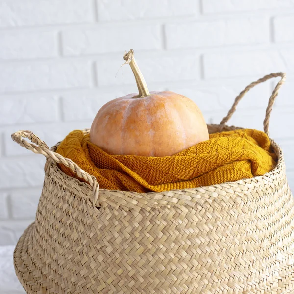 Autumnal Pumpkin Yellow Plaid Wicker Basket White Brick Wall Interior — Stock Photo, Image