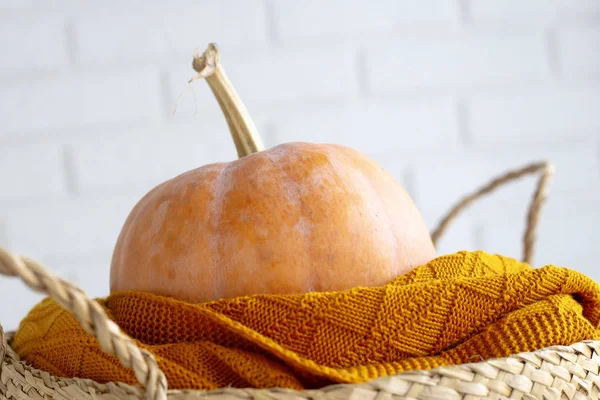 Autumnal Pumpkin Yellow Plaid Wicker Basket White Brick Wall Interior — Stock Photo, Image