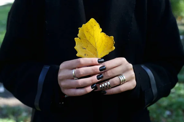 Folha Outono Amarela Mãos Femininas Com Manicure Preto Anéis Elegantes — Fotografia de Stock