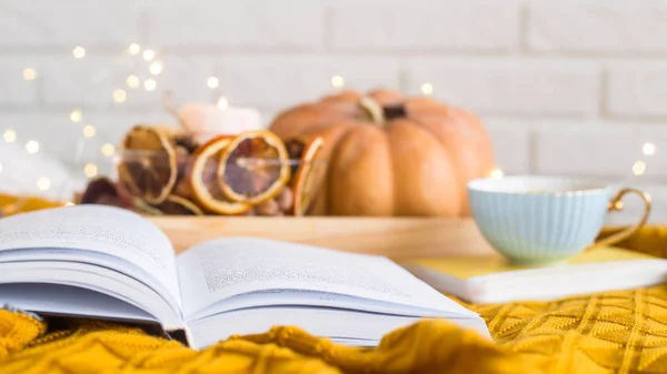 Homely Cozy Rest Autumn Day Reading Blankets Cup Coffee Next — Stock Photo, Image