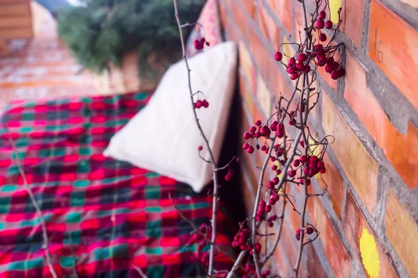 在有沙发和红色格子的开放式露台上 有红色浆果作为圣诞装饰的 Viburnum 的分支 冬季季节性假期概念 — 图库照片
