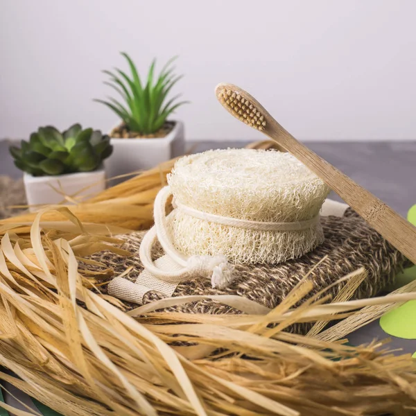 Bamboo Toothbrush Ecological Cleaners Loofah Bast Аксессуары Ванной Комнаты Стиле — стоковое фото