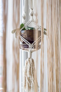 El yapımı makrome kavramının iç çiçekler için