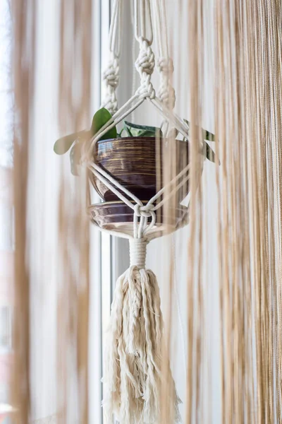 Handmade macrame for flowers in the interior of the concept