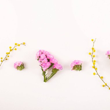 Beyaz bir arka planda - Merhaba bahar ve Merhaba yaz çiçek