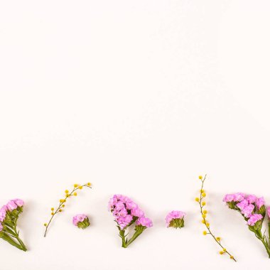 Beyaz bir arka planda - Merhaba bahar ve Merhaba yaz çiçek