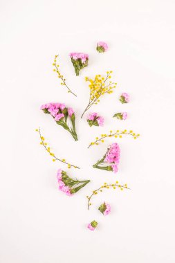 Beyaz bir arka planda - Merhaba bahar ve Merhaba yaz çiçek