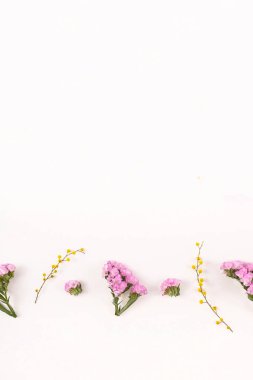 Beyaz bir arka planda - Merhaba bahar ve Merhaba yaz çiçek