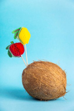 Kabuklu meyve parlak mavi arka plan ile dekore edilmiş iyi adam ile şık bardaklarda bütün kahverengi Hindistan cevizi