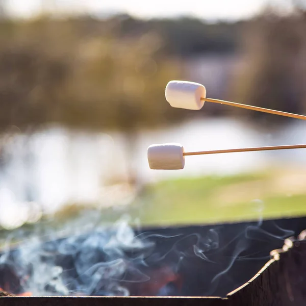 Cozinhar sobremesa com marshmallows pelo fogo em um piquenique na natureza — Fotografia de Stock