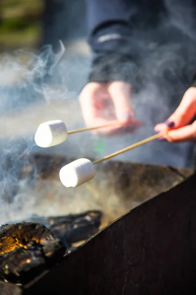 Cozinhar sobremesa com marshmallows pelo fogo em um piquenique na natureza — Fotografia de Stock