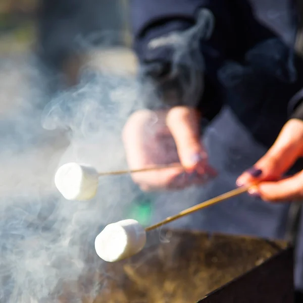 Cozinhar sobremesa com marshmallows pelo fogo em um piquenique na natureza — Fotografia de Stock