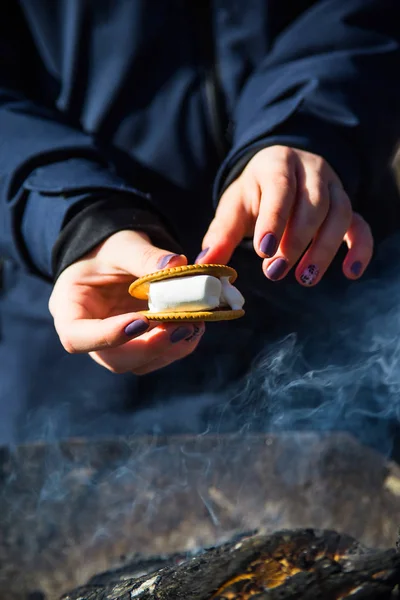 Cozinhar sobremesa com marshmallows pelo fogo em um piquenique na natureza — Fotografia de Stock