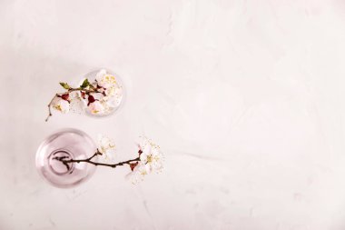 Beyaz çiçekler ile Bahar nötr ışık minimalist arka plan 