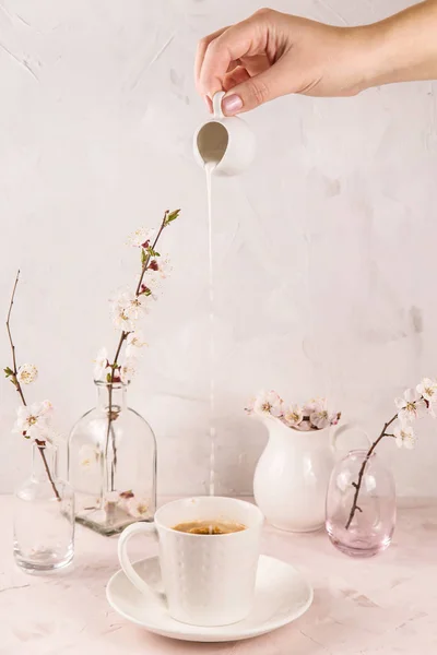 Luz suave minimalista bodegón con un movimiento de crema verter — Foto de Stock