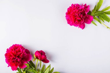 Gri arka planda bahar çiçekleri - aralıklı yaratıcı resim