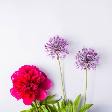 Gri arka planda bahar çiçekleri - aralıklı yaratıcı resim